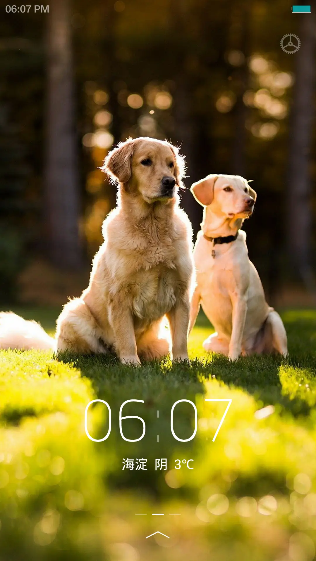 伙伴（完整旗舰版）