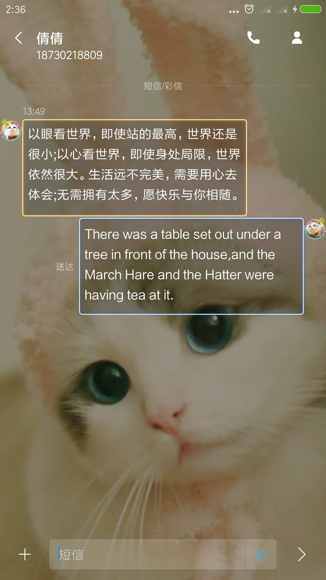 萌猫 - Screenshot 8