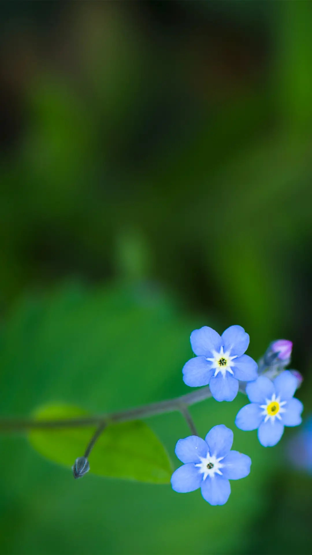 拥抱自然-拍信图库