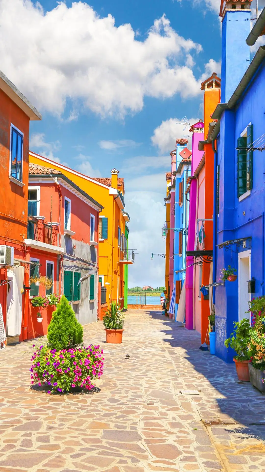 威尼斯的彩色小岛