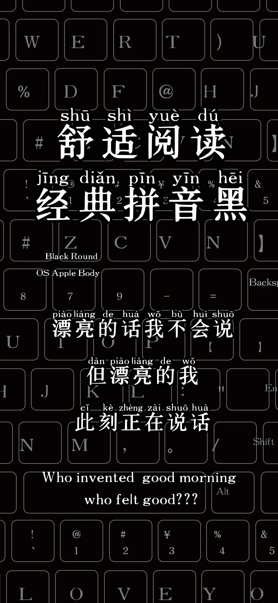 舒适阅读经典拼音黑 - Screenshot 1