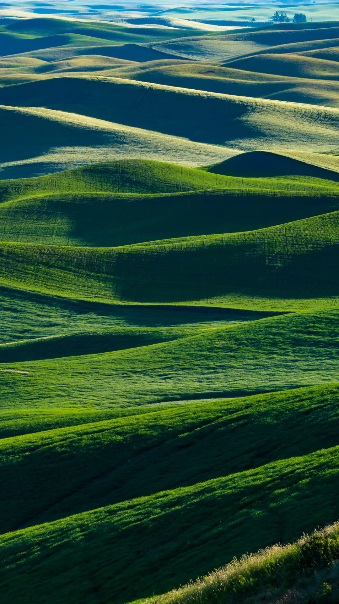 绿草蓝天-拍信图库