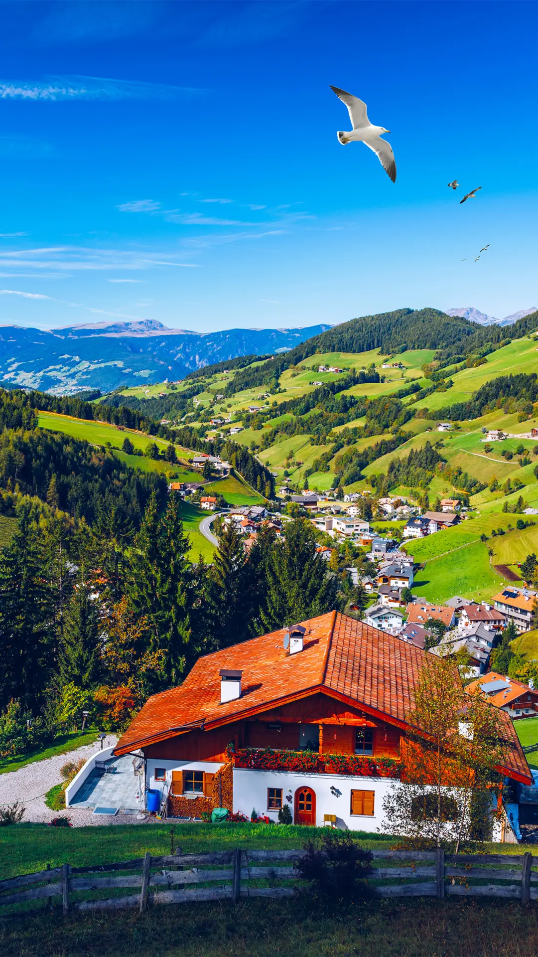 拥抱自然-拍信图库