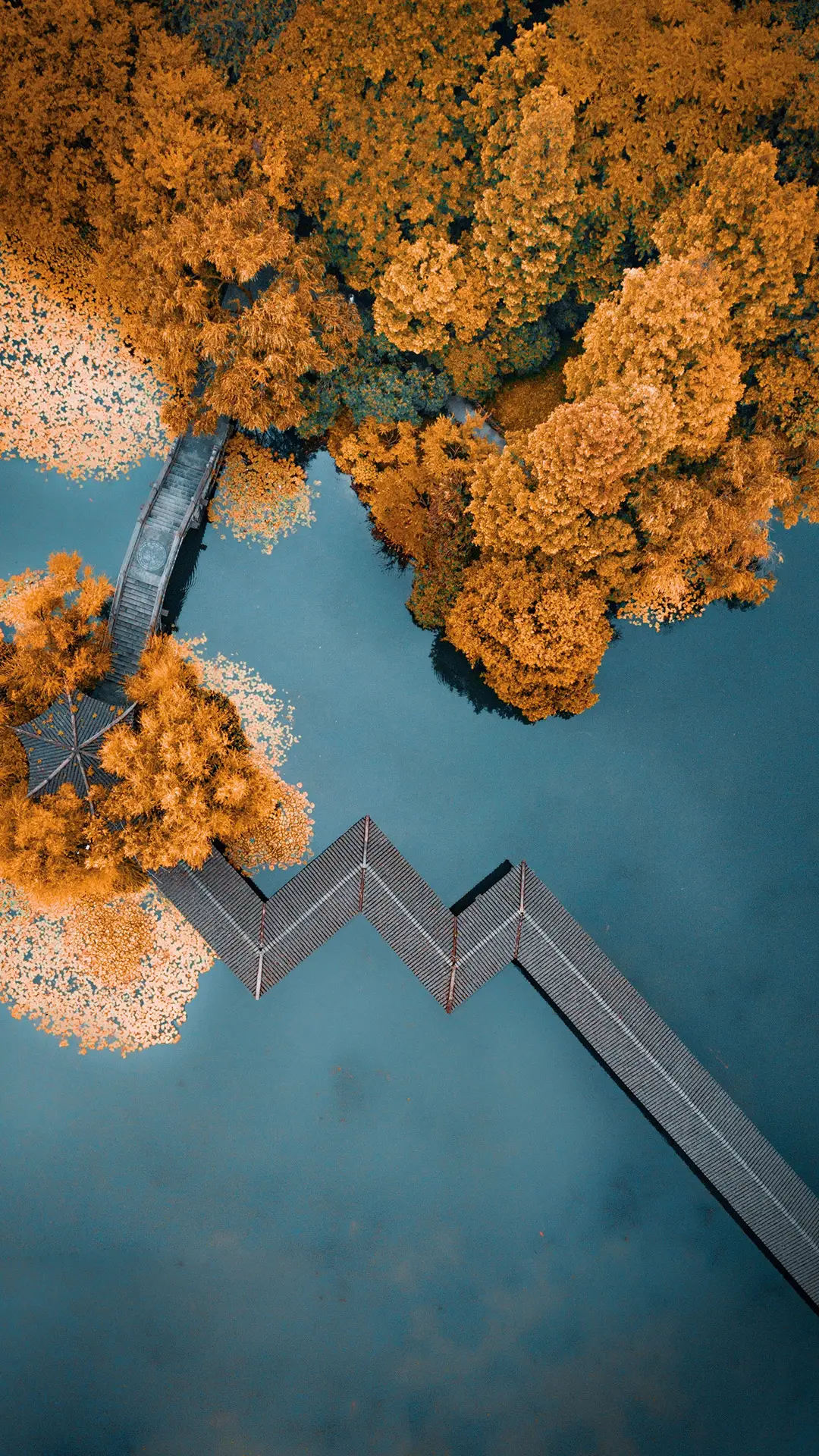 这些旅行地不要错过哦