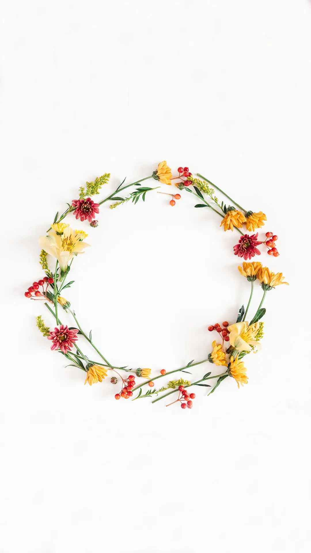 只是蝴蝶不愿意 - Screenshot 1