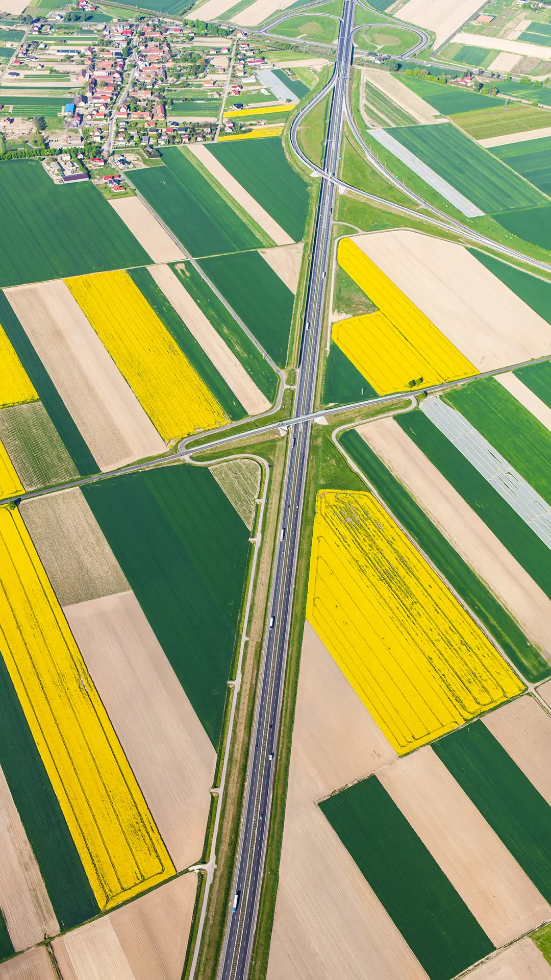 美丽风景-拍信图库 - Screenshot 1