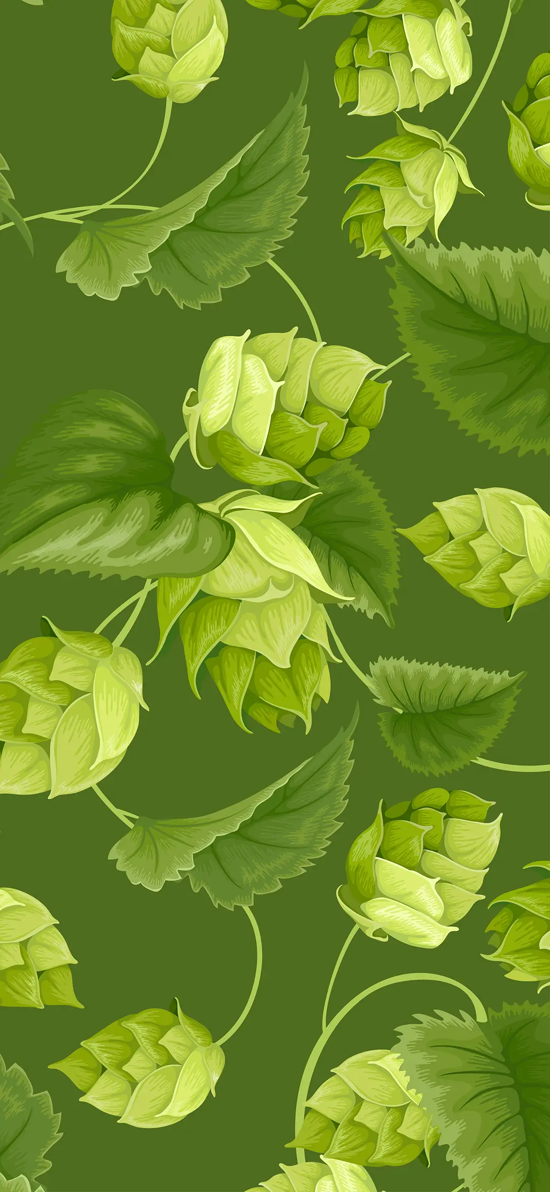 绿色护眼创意壁纸-锐景创意