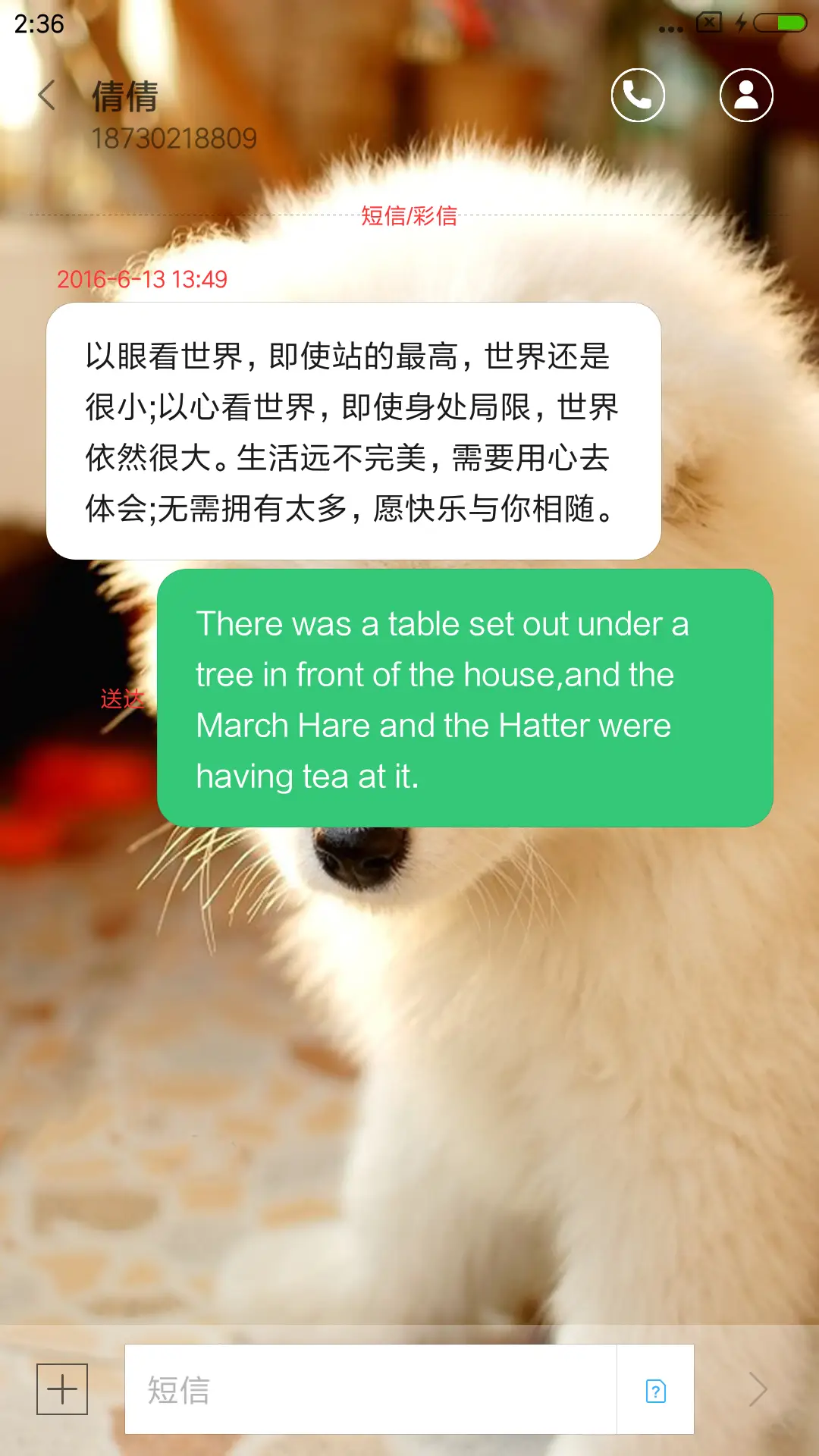 可爱萨摩耶 - Screenshot 8