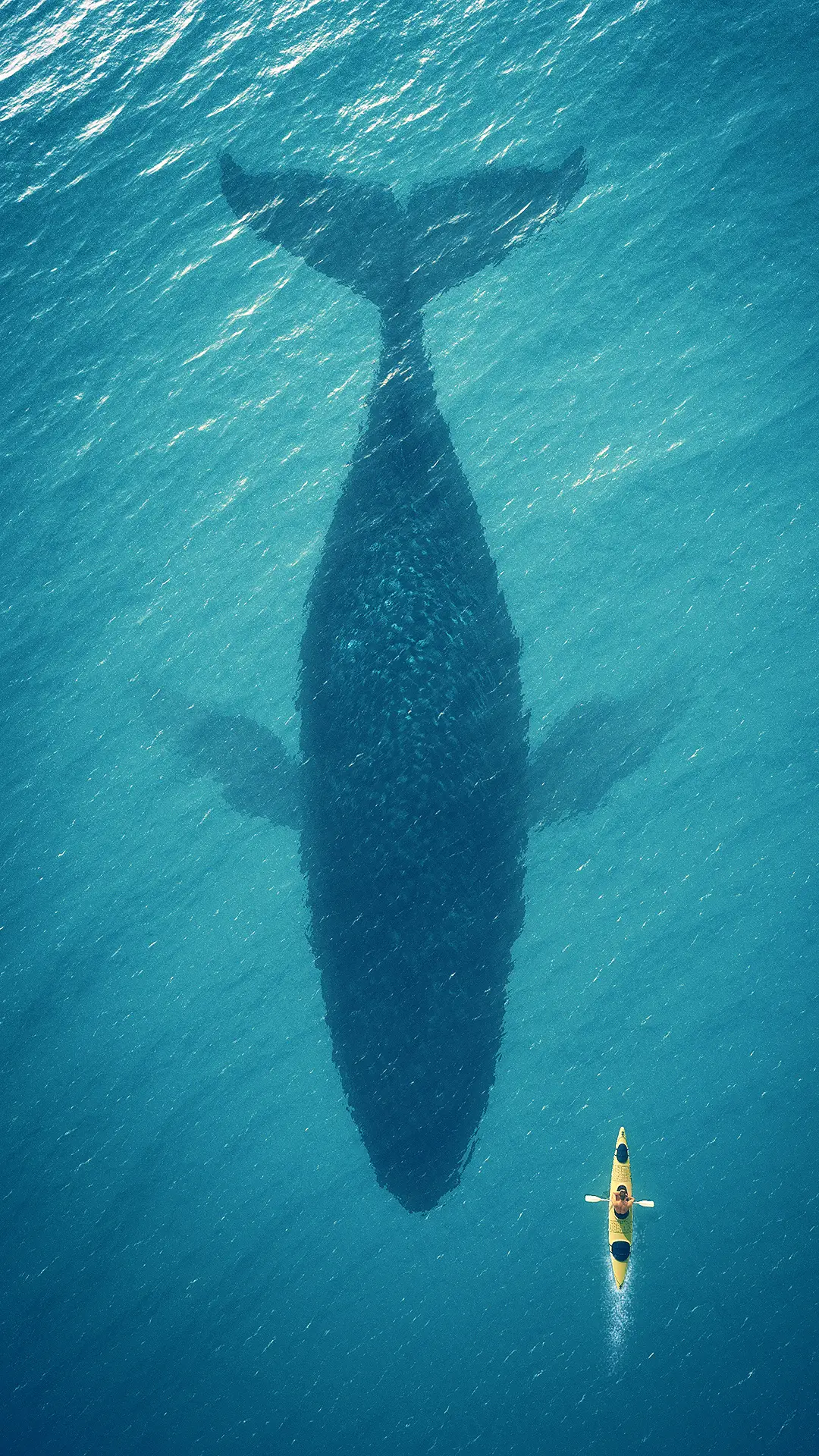 蔚蓝大海-拍信图库