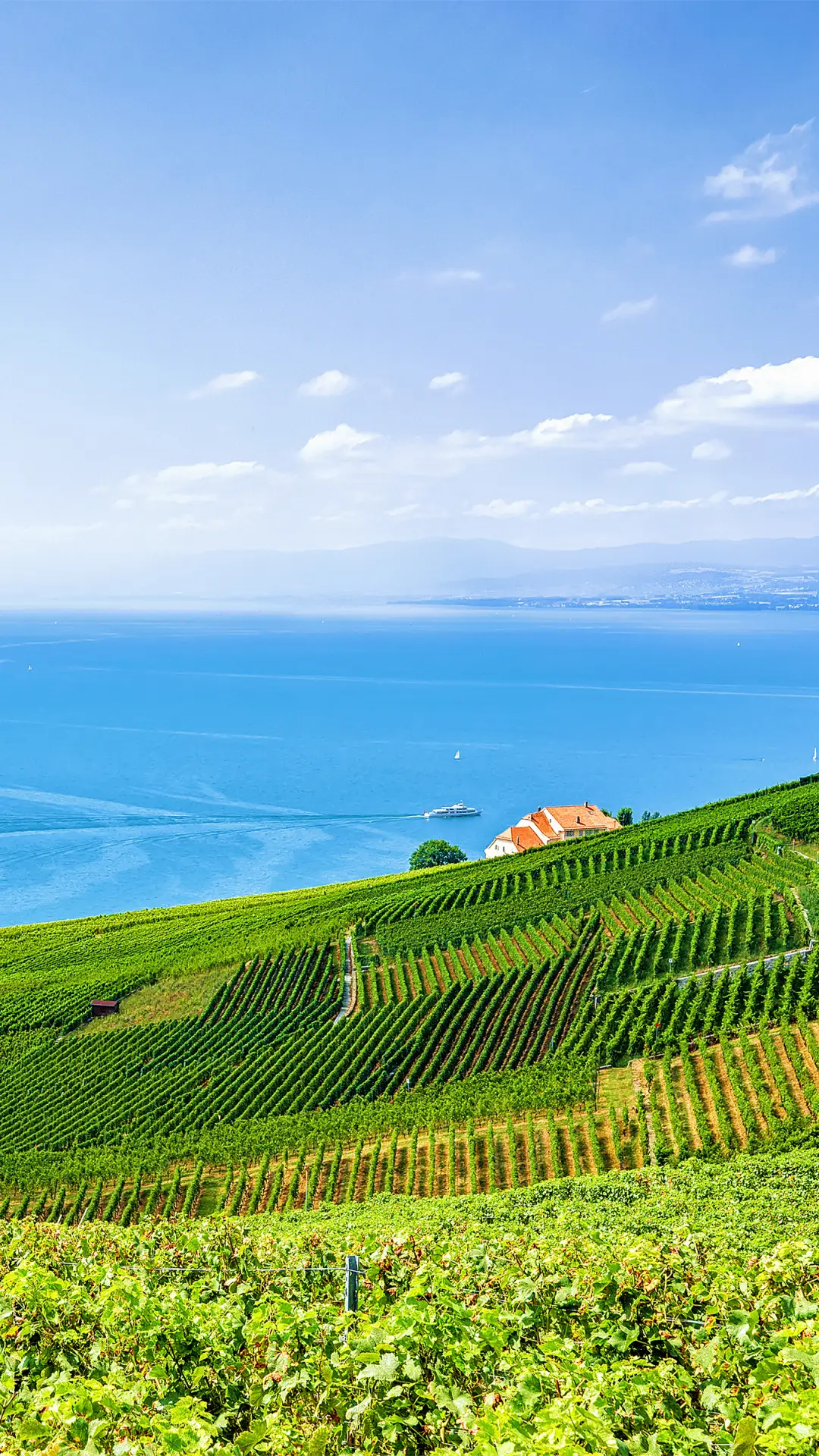 拥抱自然-拍信图库 - Screenshot 1