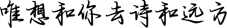 唯想和你去诗和远方