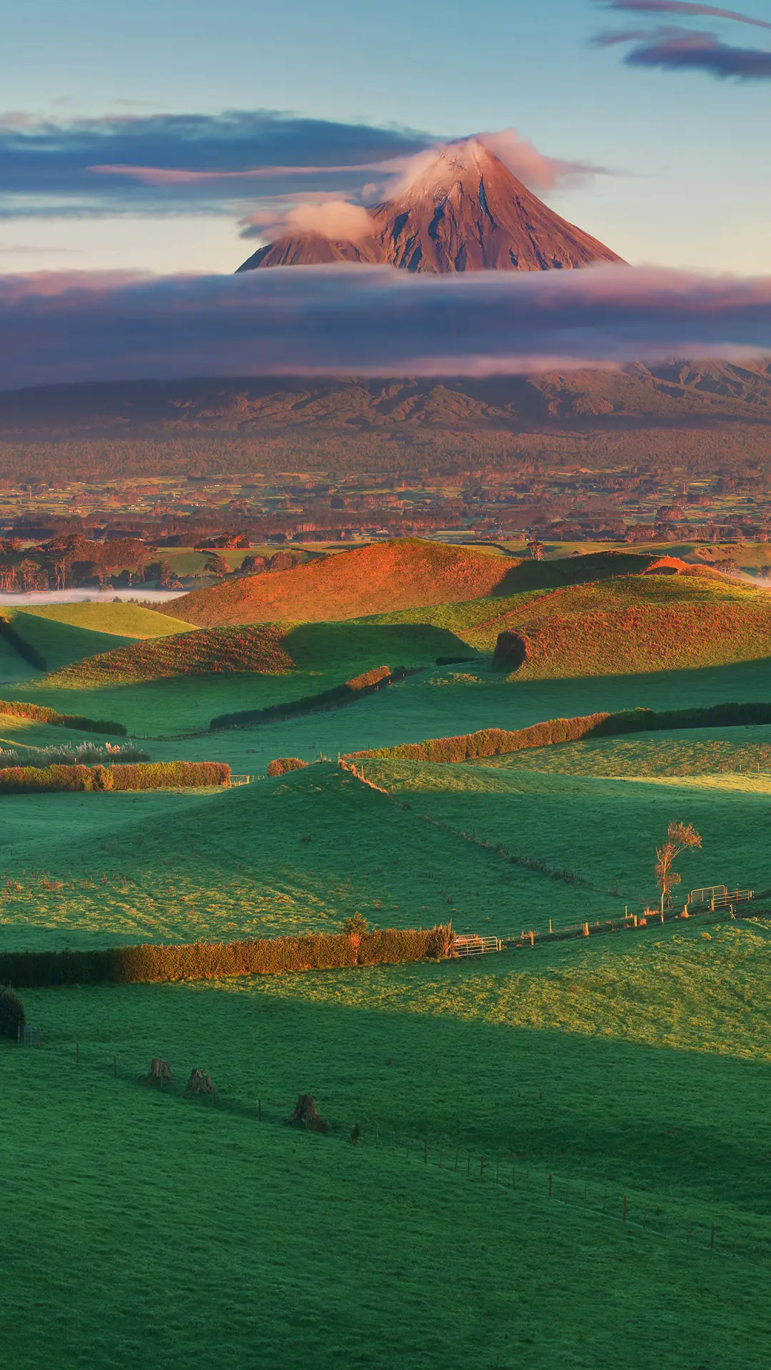 春季旅行-锐景创意