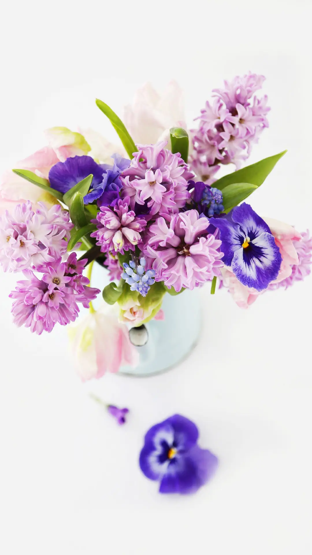 秋冬，你该养这些花