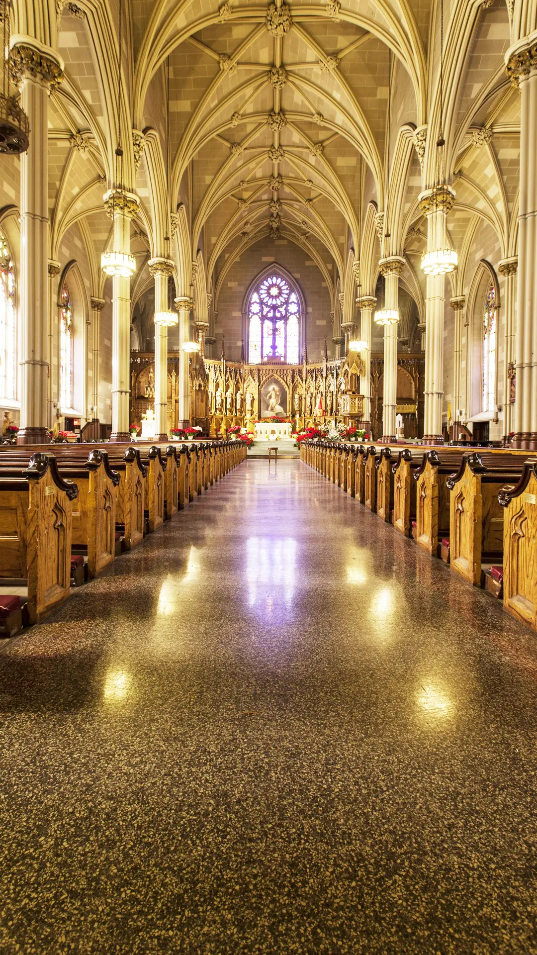 庄严华丽的教堂