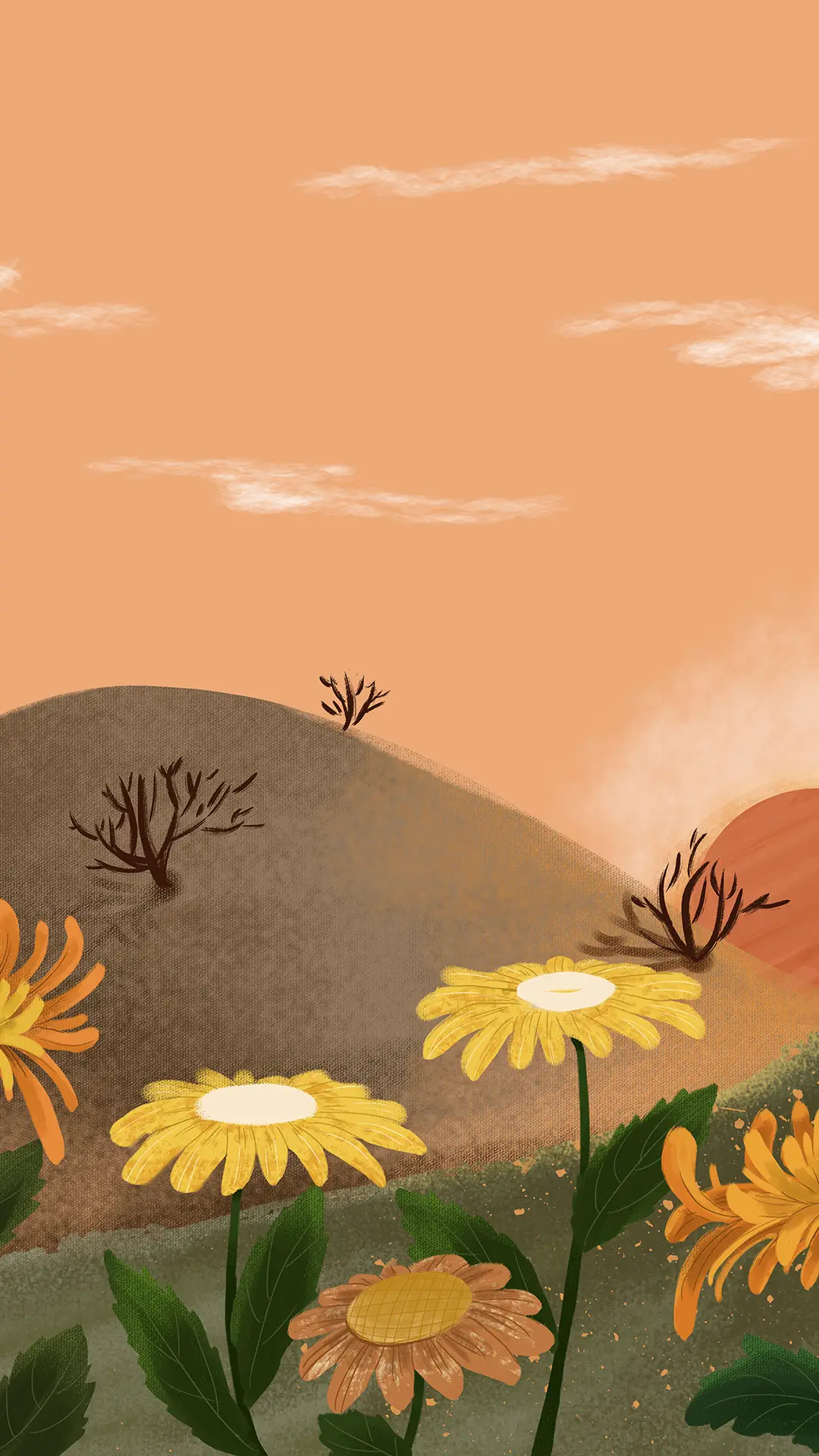 烂漫山丘 -视觉中国 