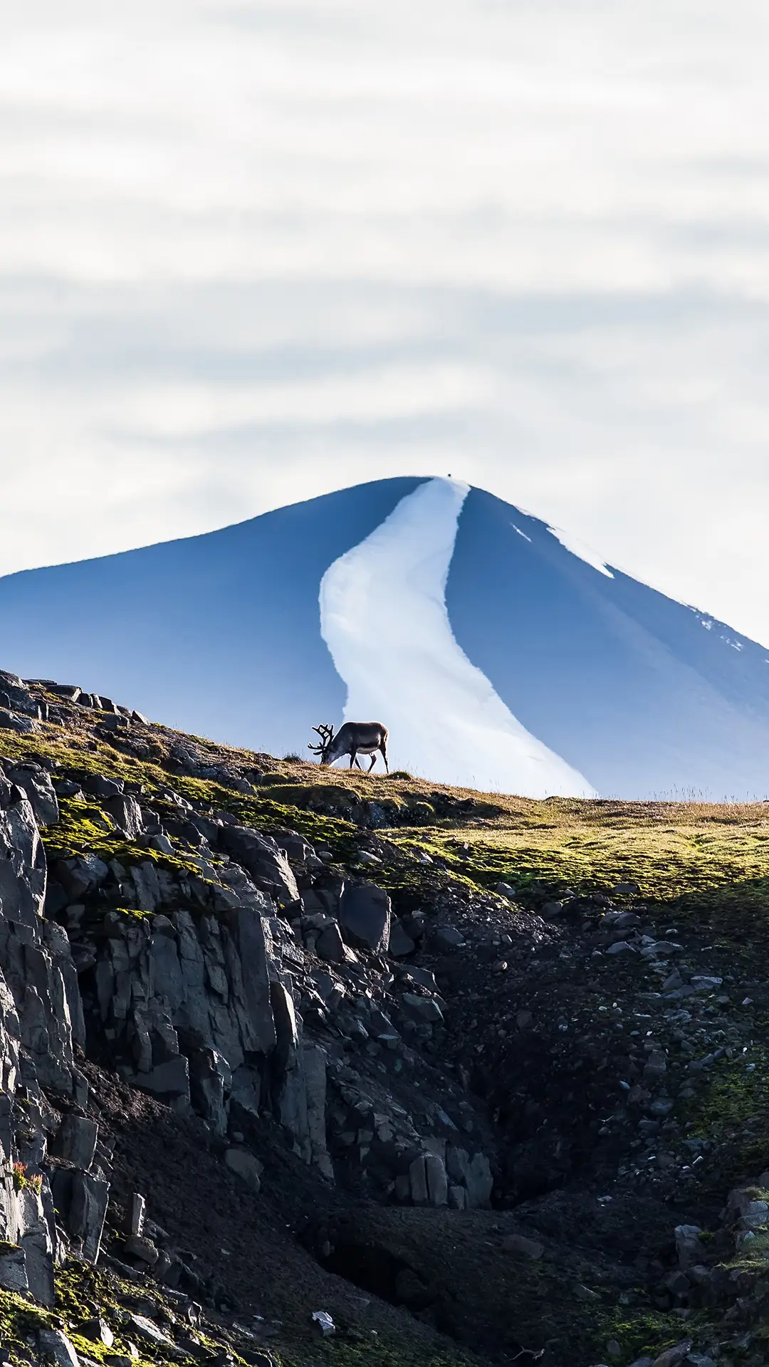 世界极北之地 - Screenshot 1