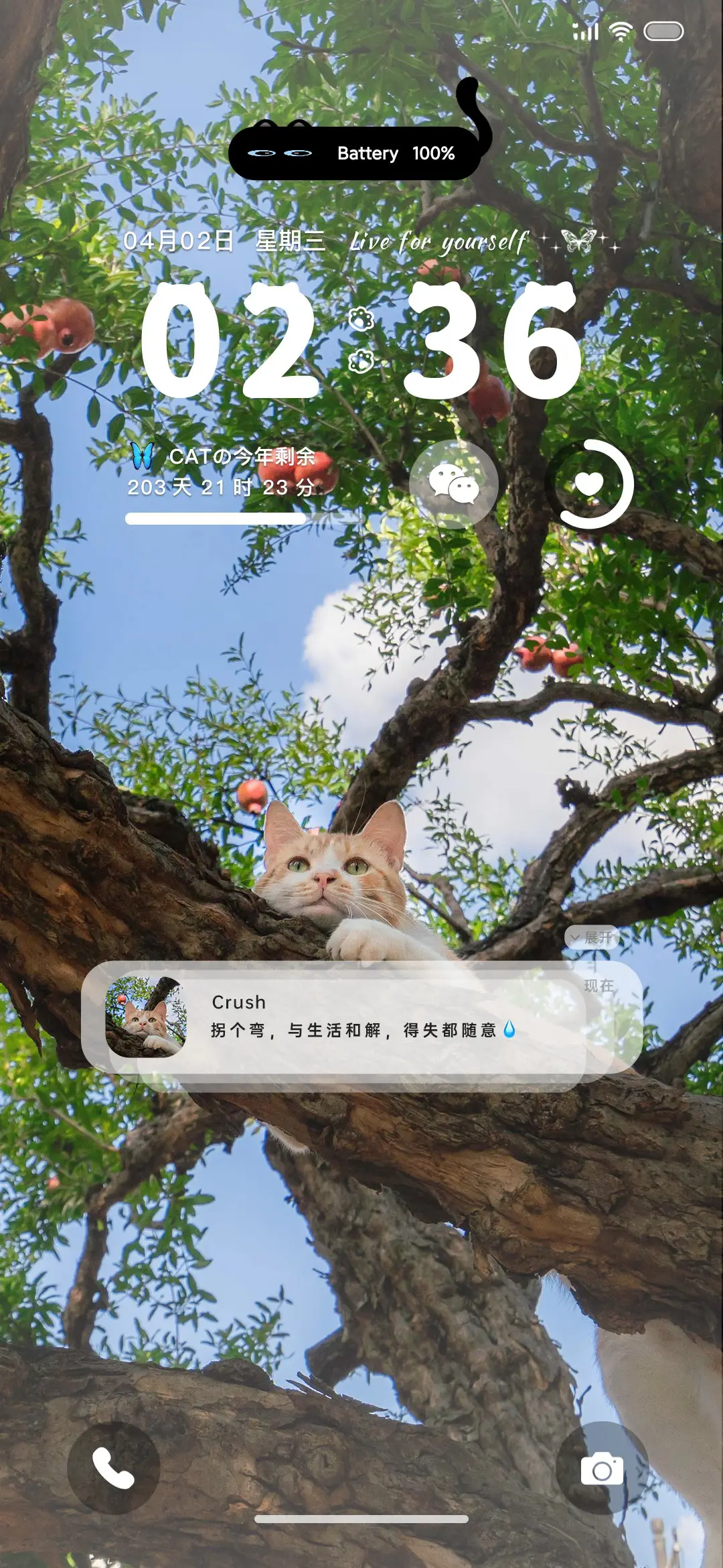 ins 树上的猫 - Screenshot 2