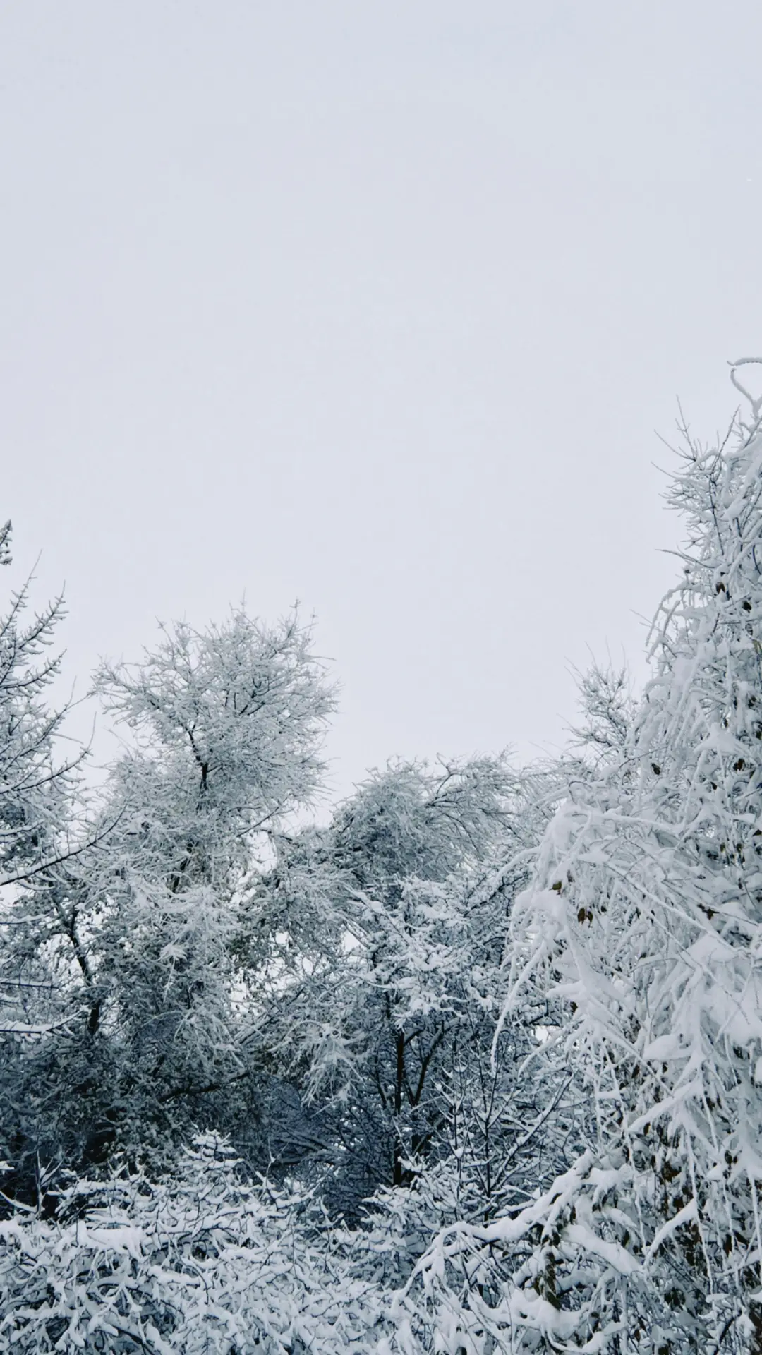 简约景深雪地-顶晟科技