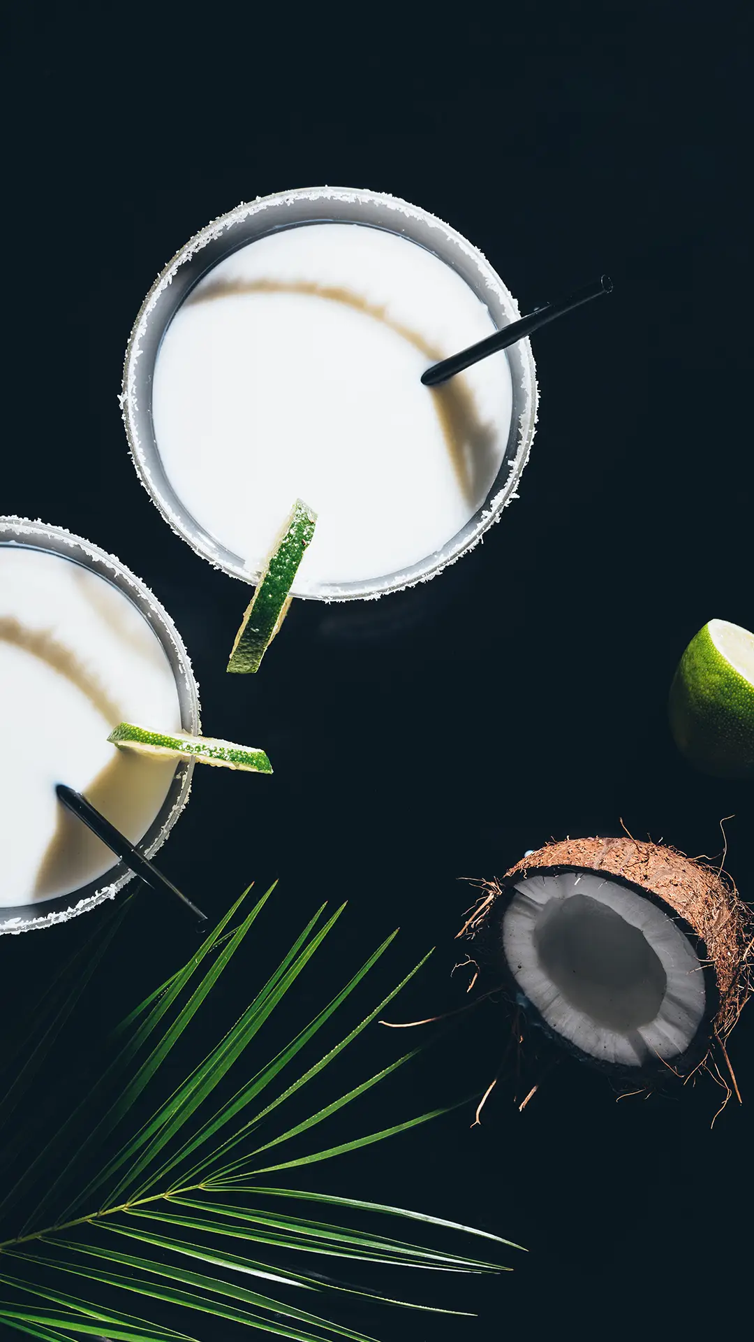 小清新椰子-锐景创意