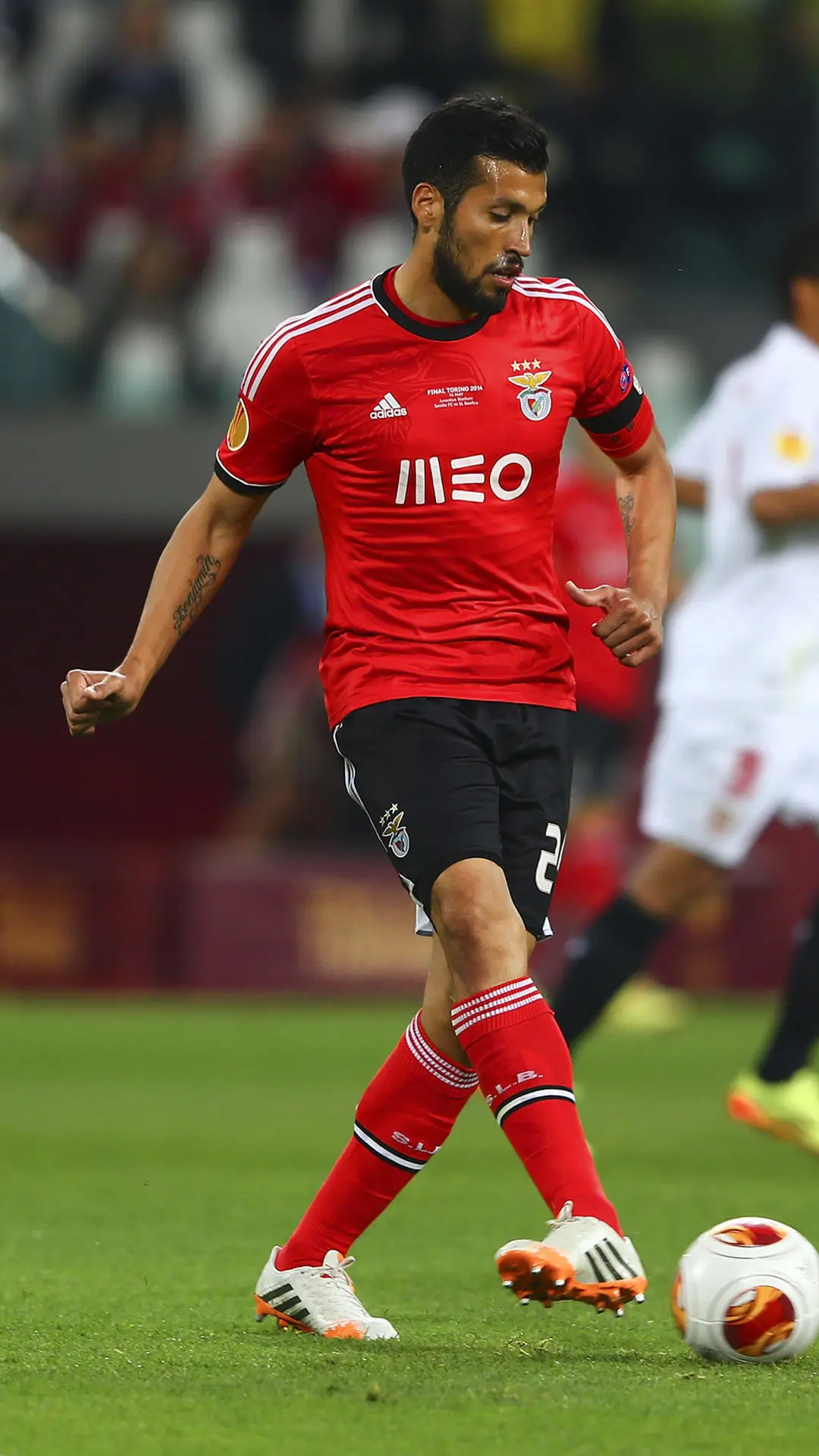 本菲卡之鹰加雷 - Screenshot 1