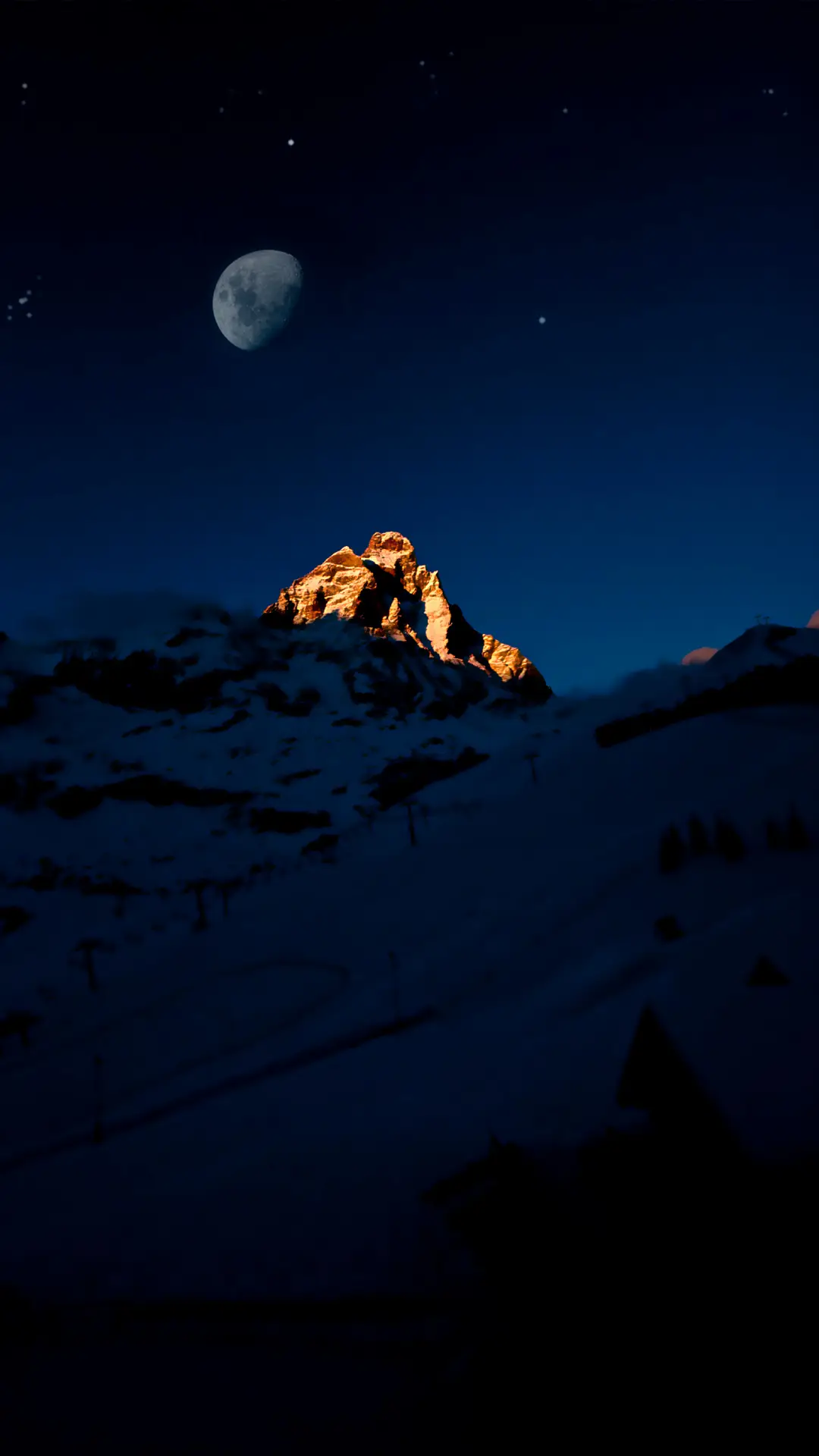 月明星稀-拍信图库 - Screenshot 1