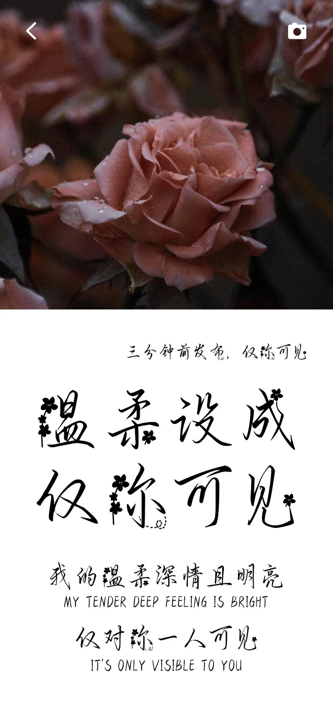 温柔设成仅你可见 - Screenshot 1