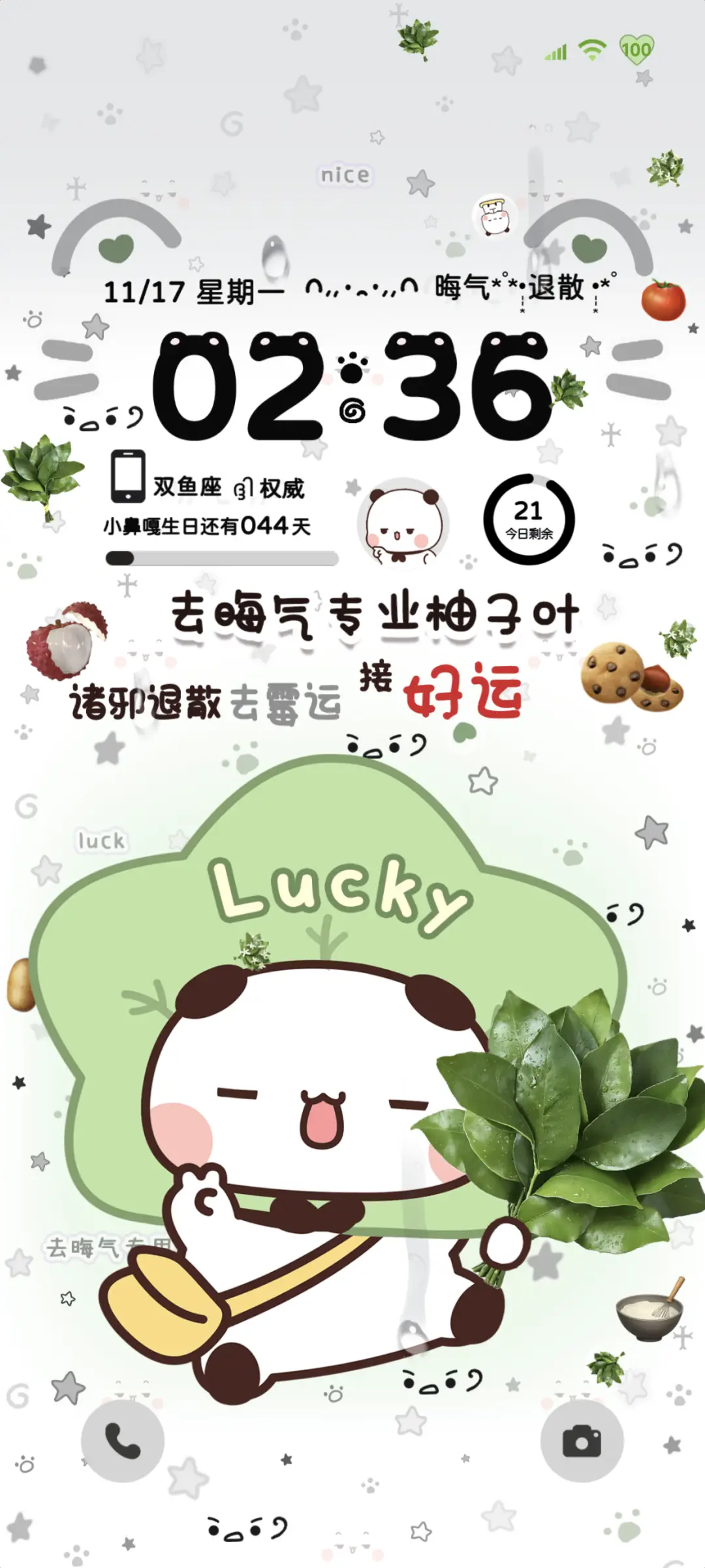 柚子叶一二 动态 THEME for Xiaomi MIUI HyperOS