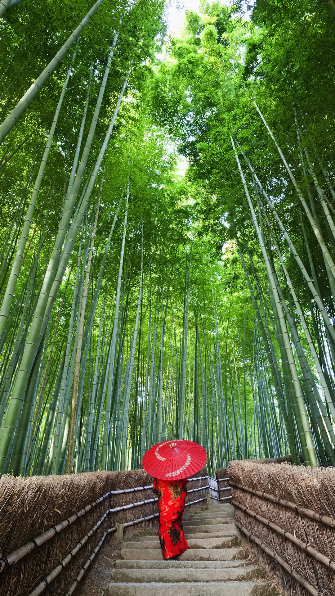 世外仙境京都岚山 - Screenshot 1