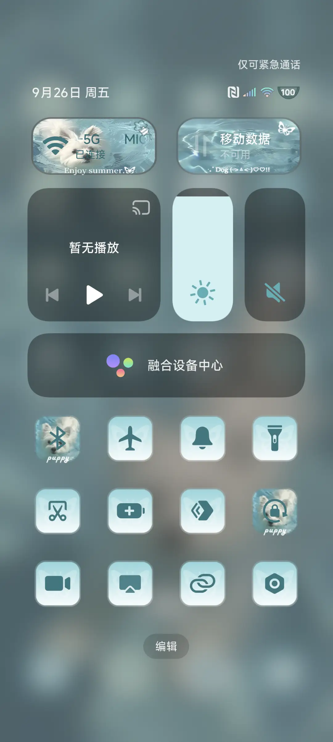 ins流水西高地 - Screenshot 6