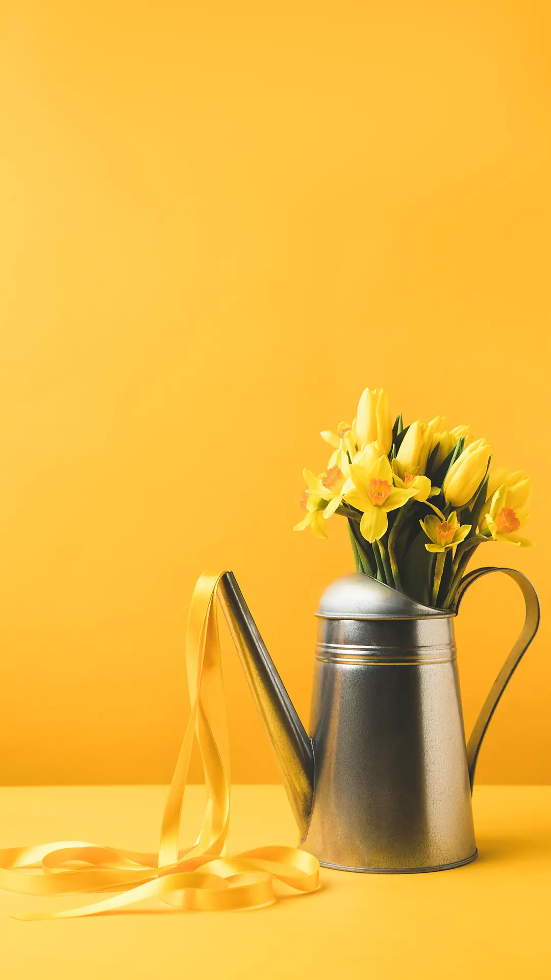 郁金香-锐景创意 - Screenshot 1