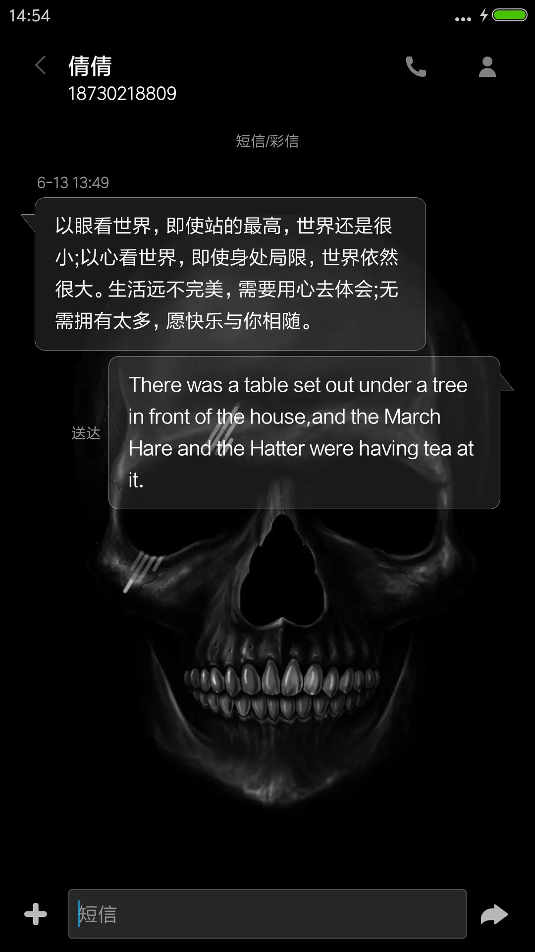 骷髅 - Screenshot 11