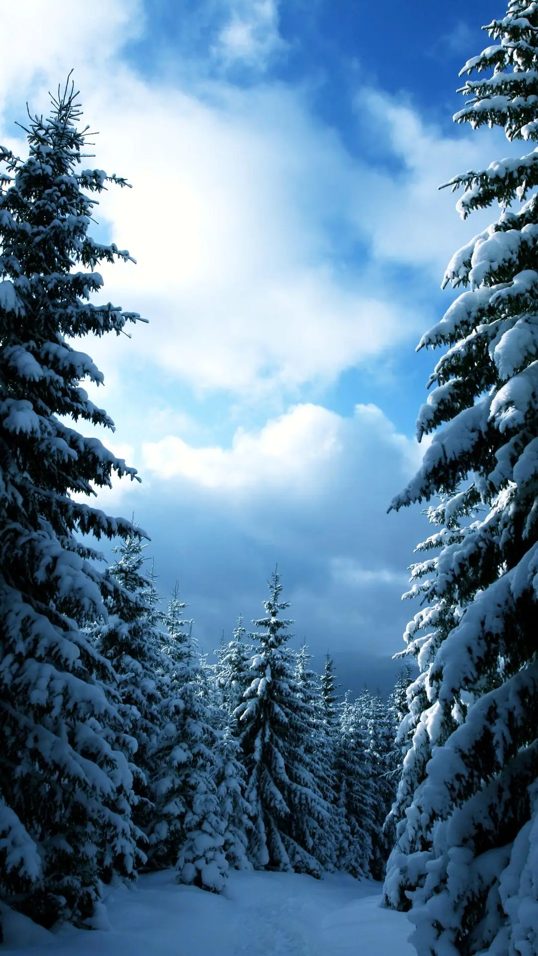 像我这样笨拙地生活