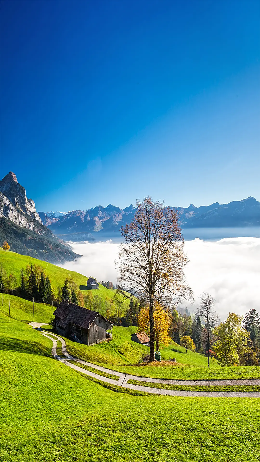 高清风光-拍信图库