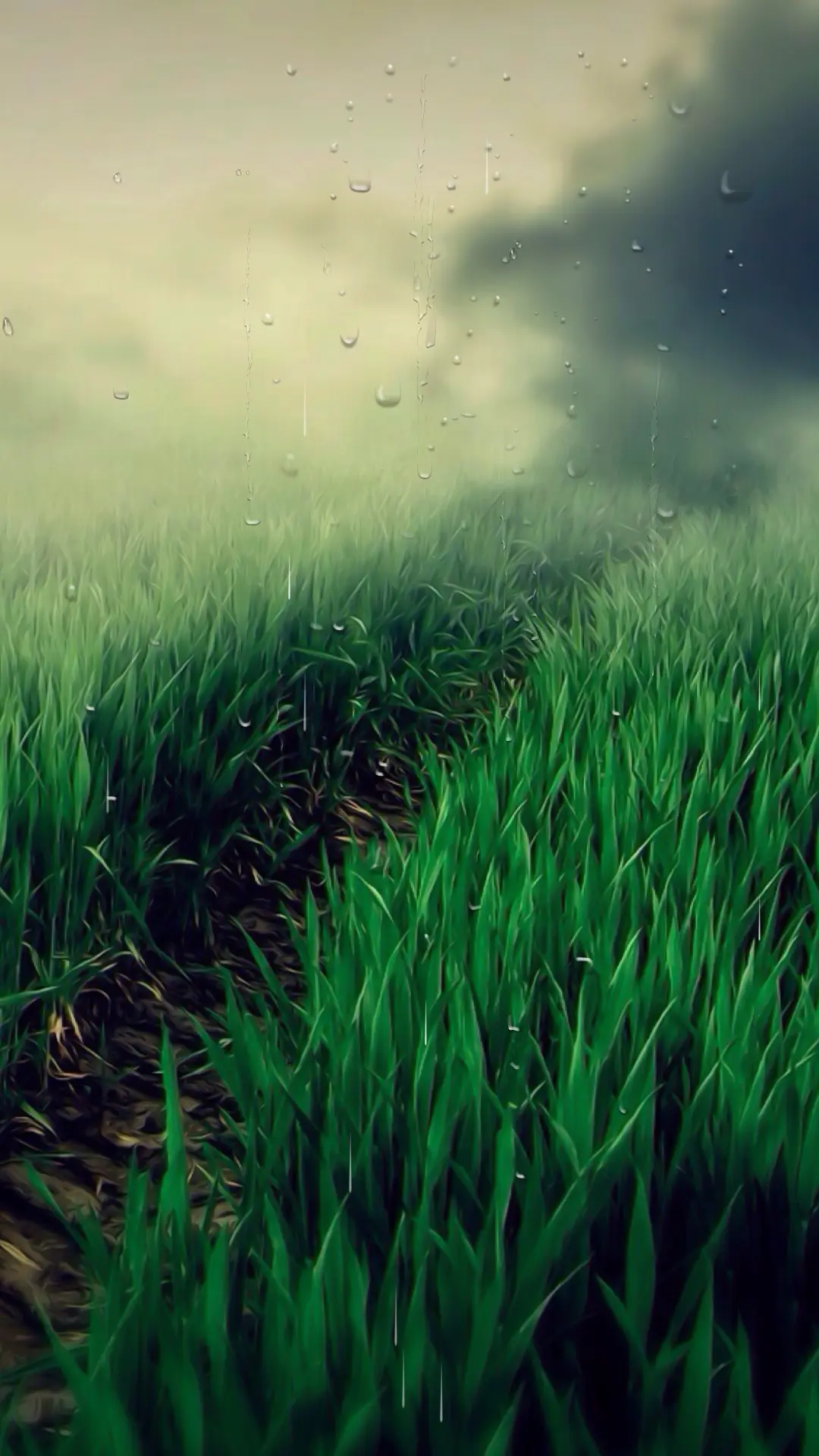 麦田 - Screenshot 1