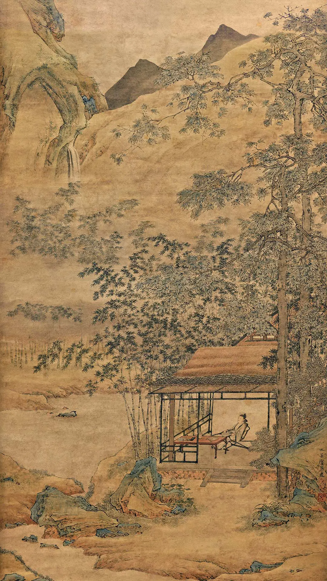 竹之美  尽显禅意