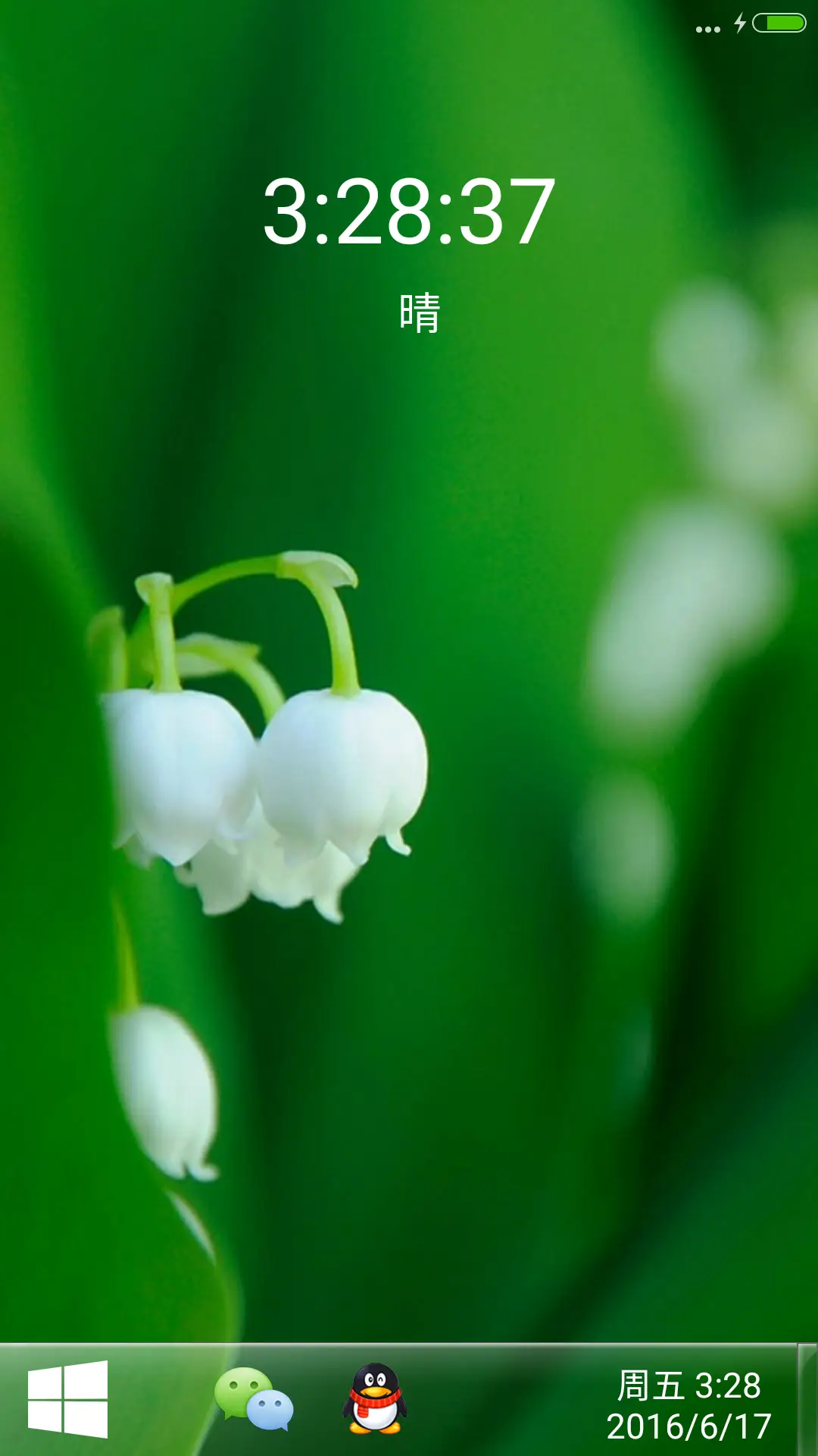好评掉媳妇儿）护眼清新小花蕾