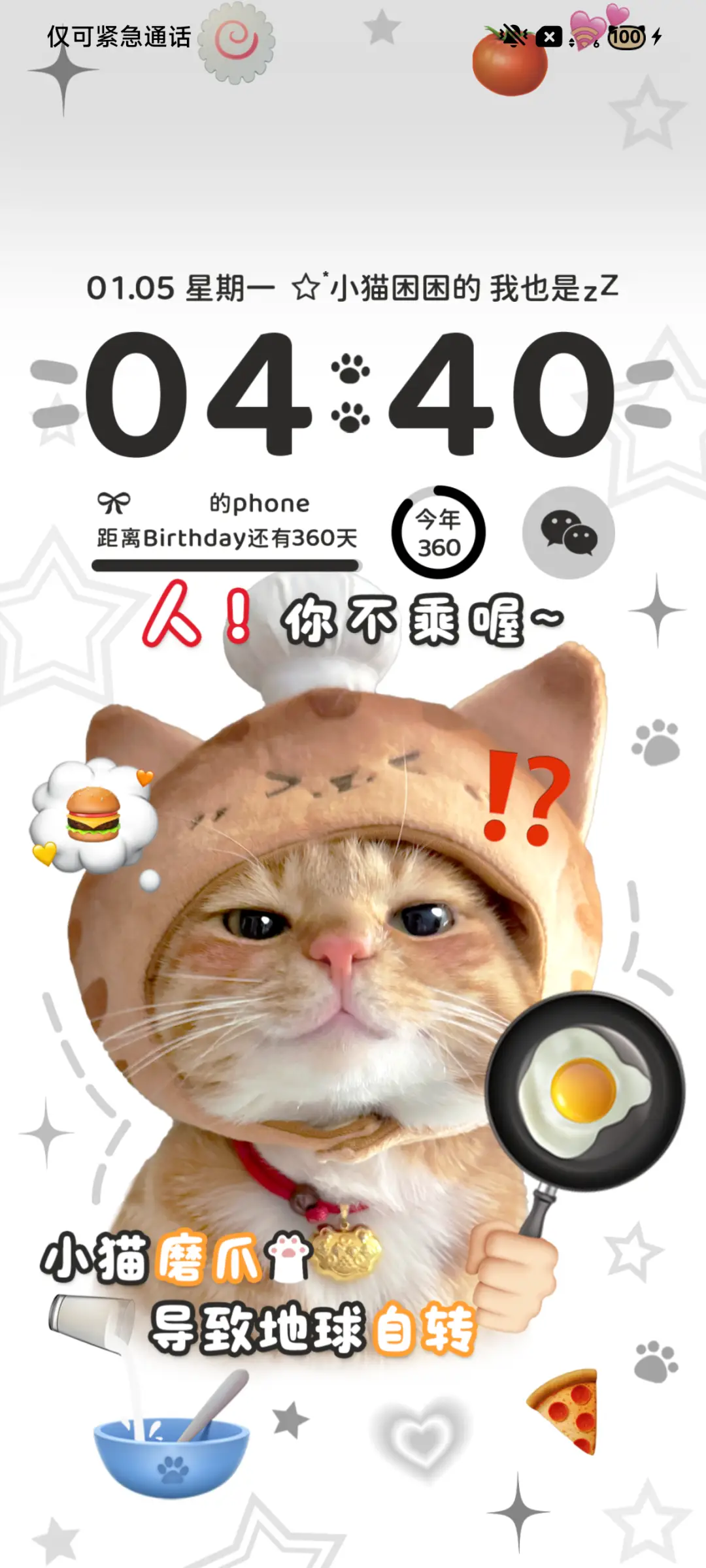 ins可爱猫饼换图 - Screenshot 2