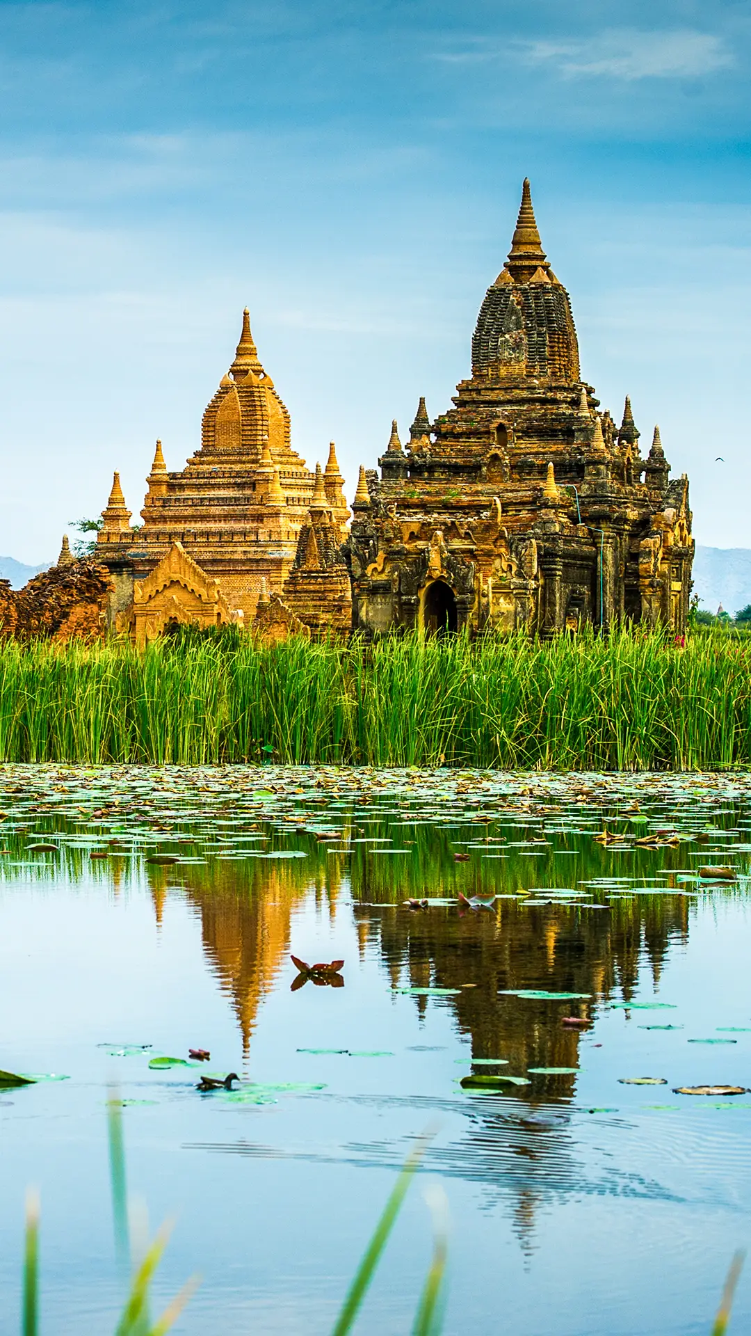 蒲甘 目之所及皆风景