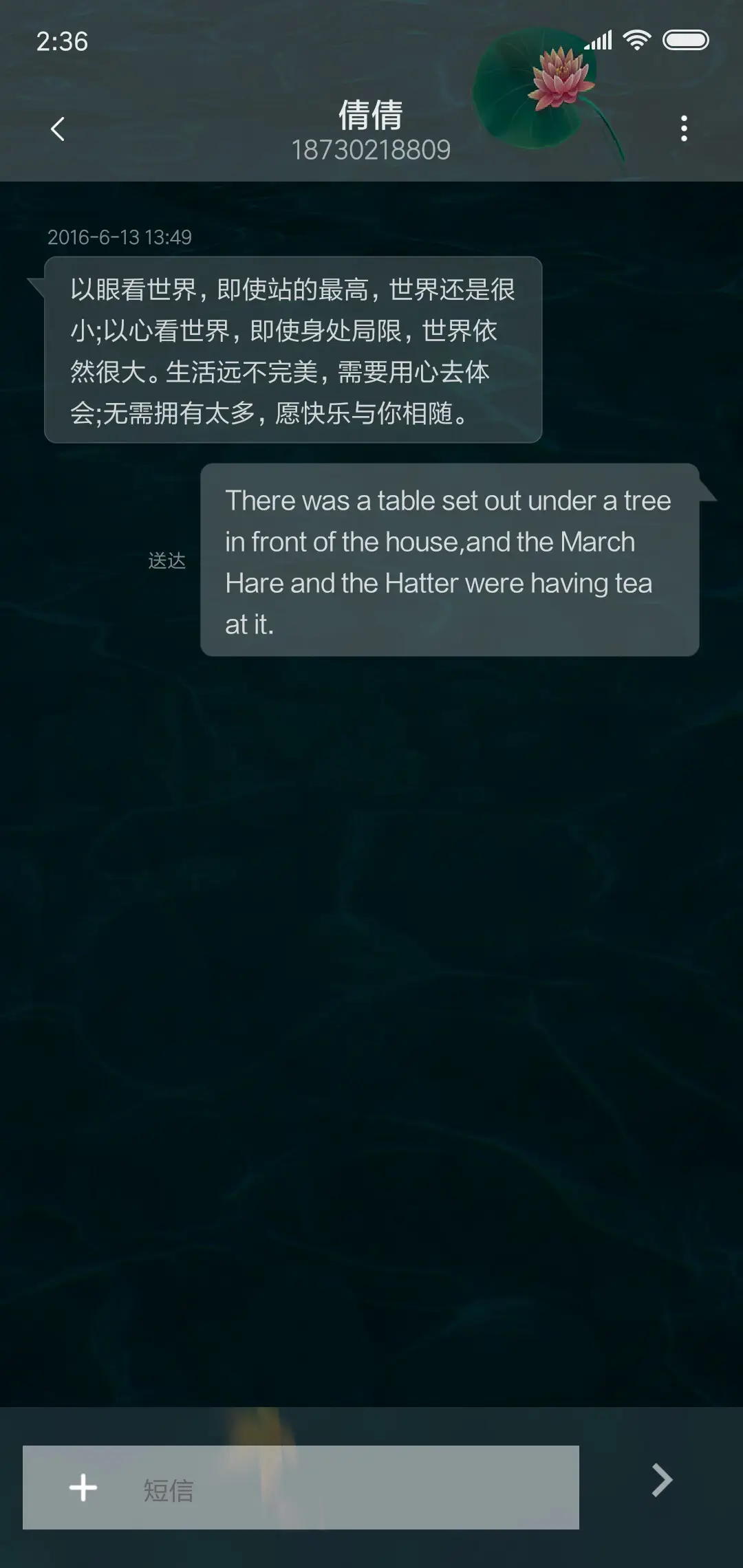 锦鲤 - Screenshot 8