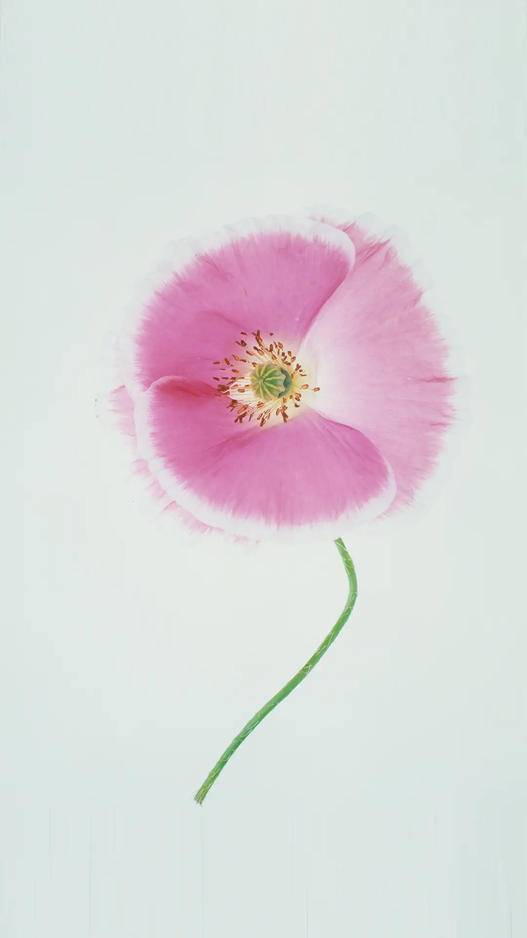 初相遇 - Screenshot 1