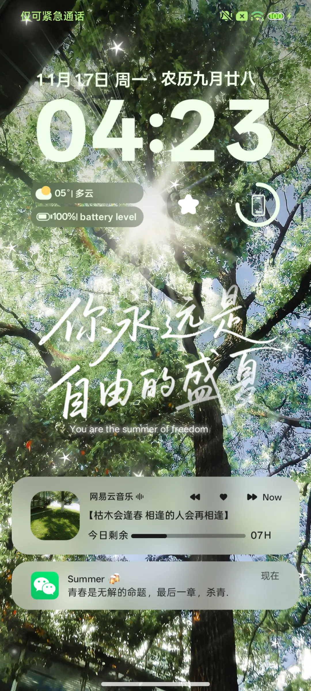 ins夏天以你为名 - Screenshot 4