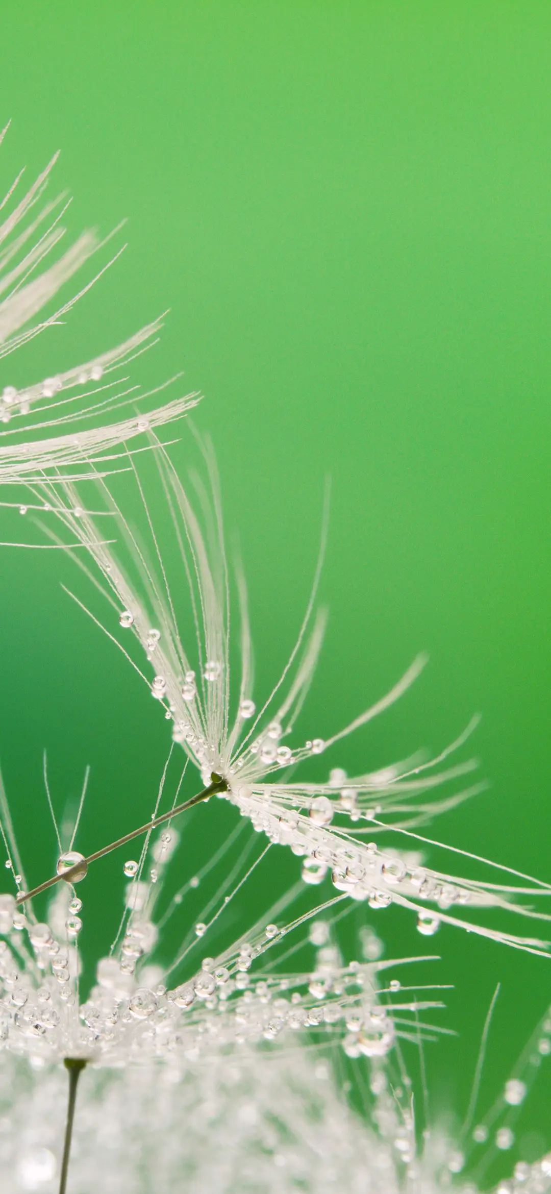 简约霜花壁纸-锐景创意