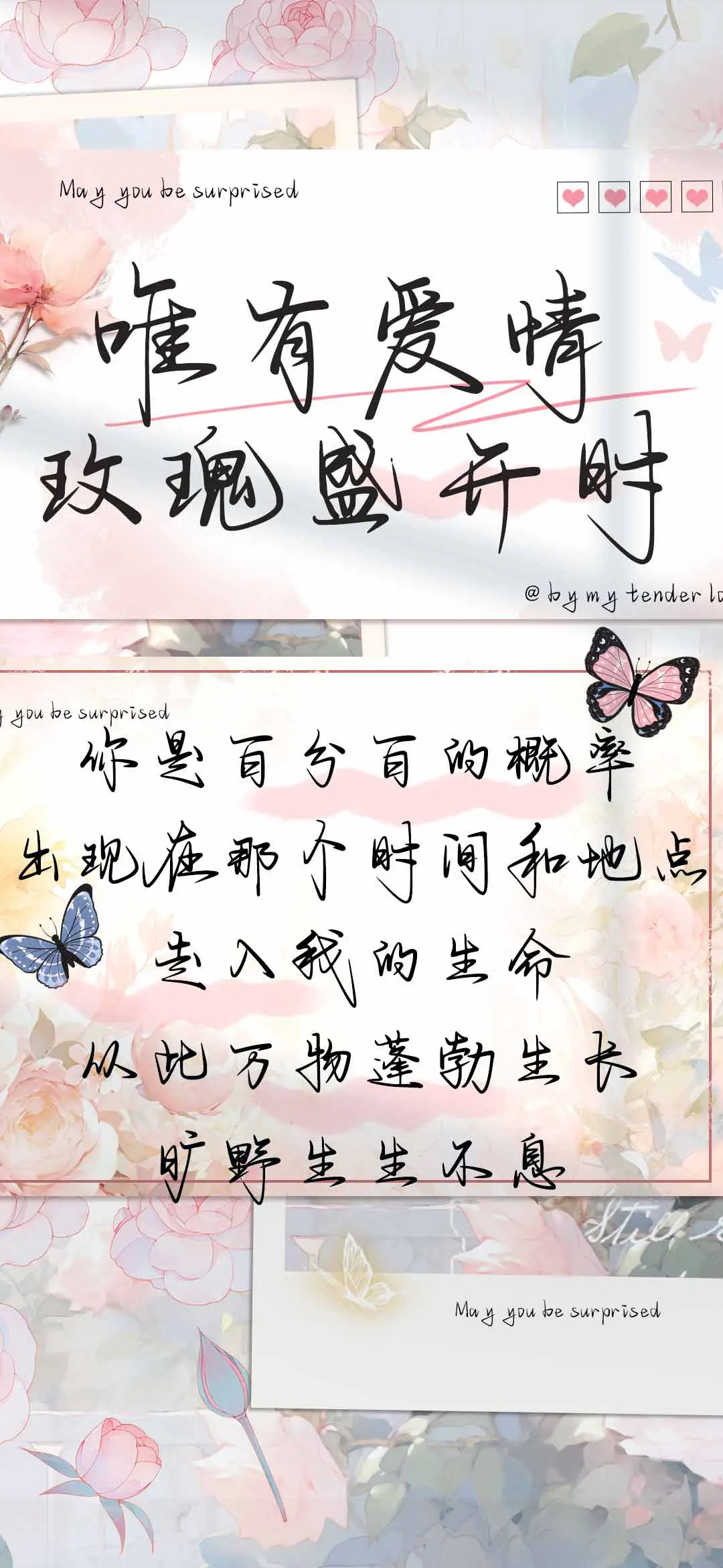 唯有爱情玫瑰盛开时 - Screenshot 1