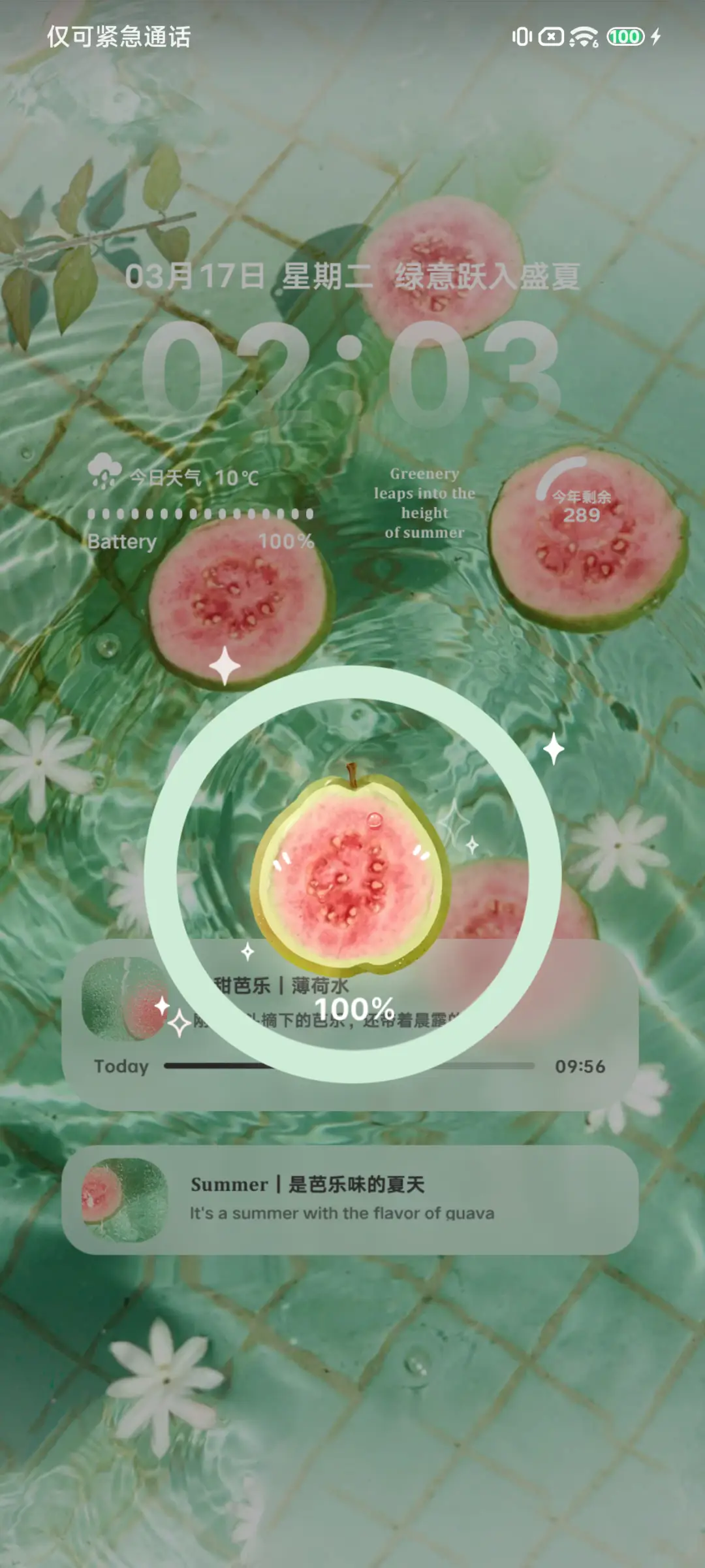 Pro 绿意清凉 - Screenshot 6