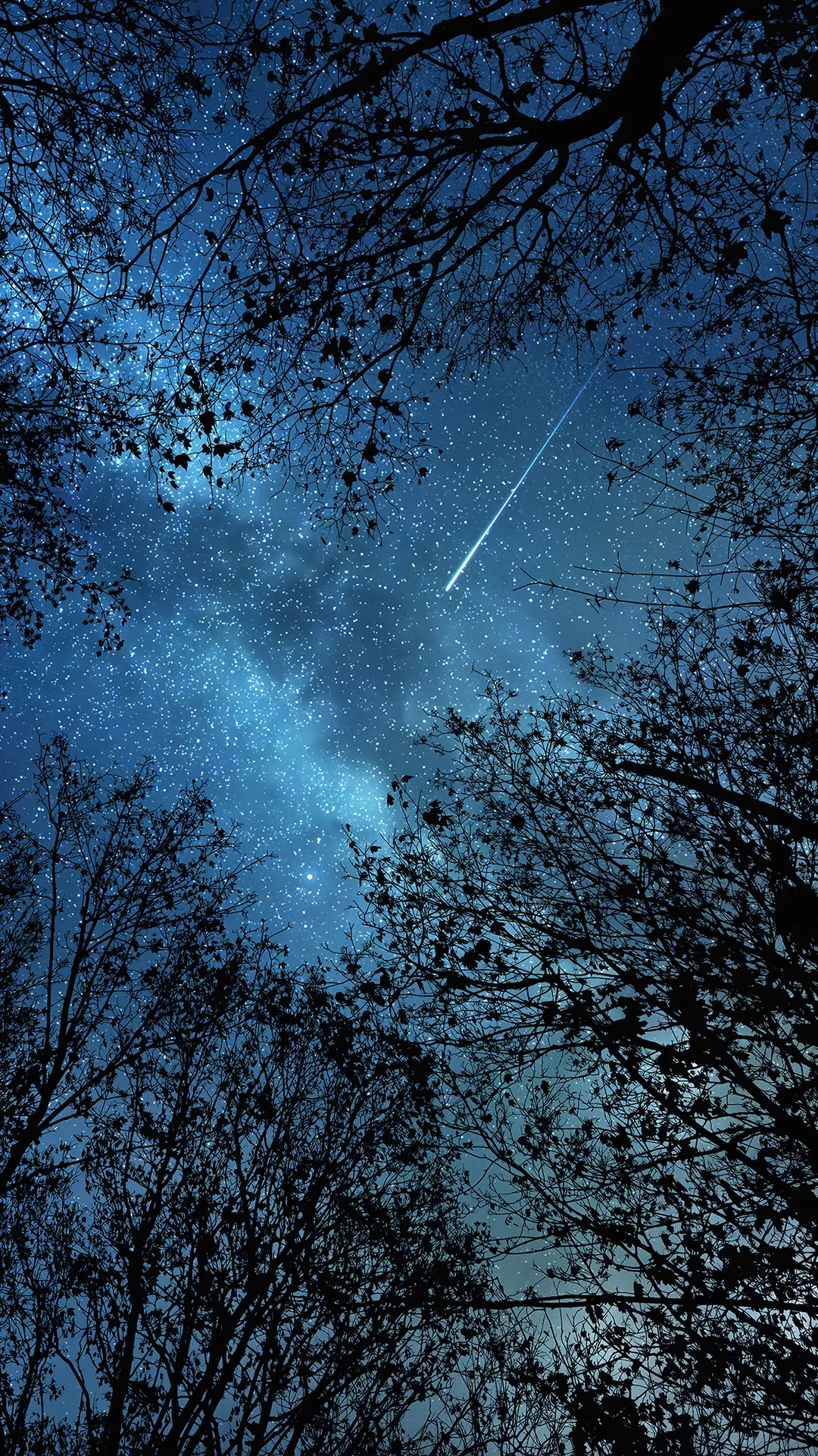 璀璨星空-拍信图库