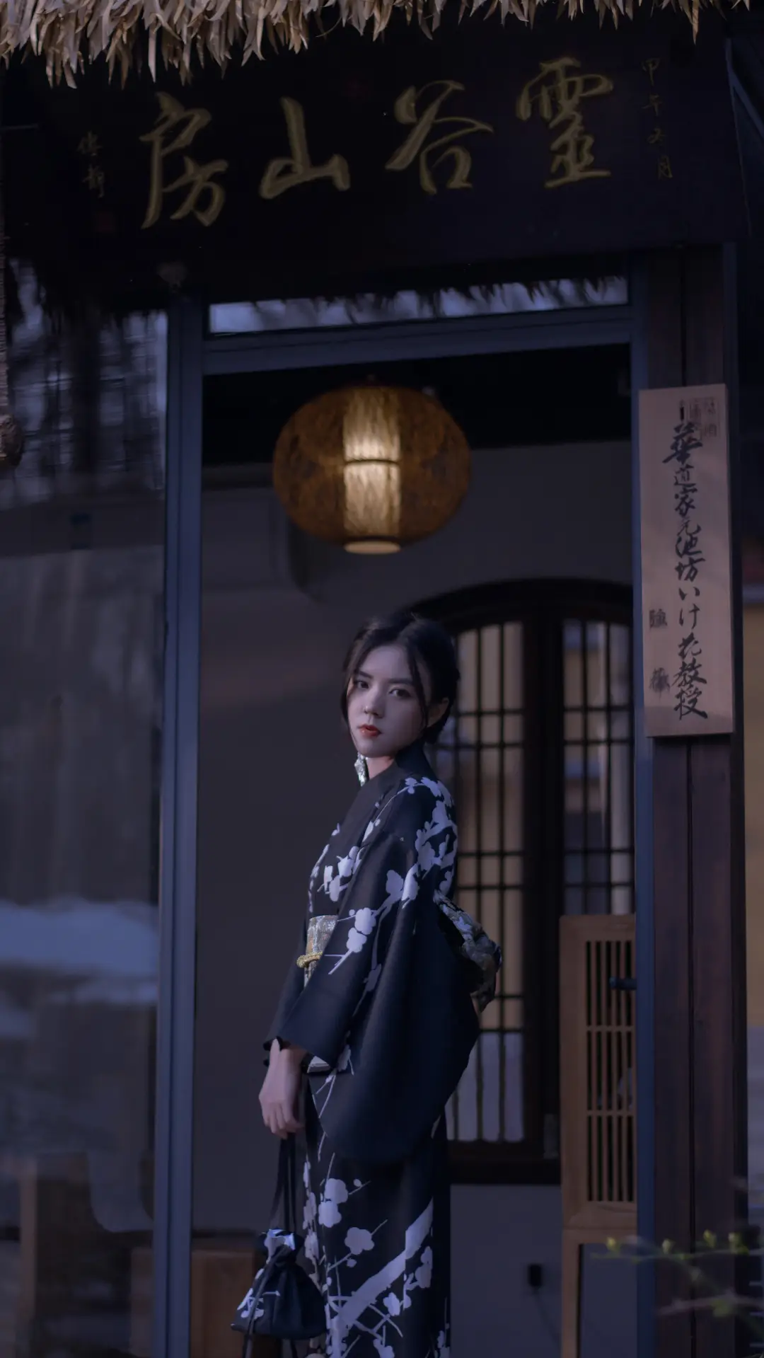 夜降至-锐景创意 - Screenshot 1