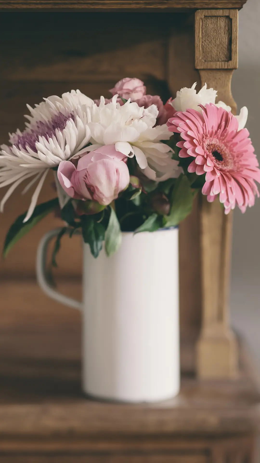 非洲菊的养殖方法