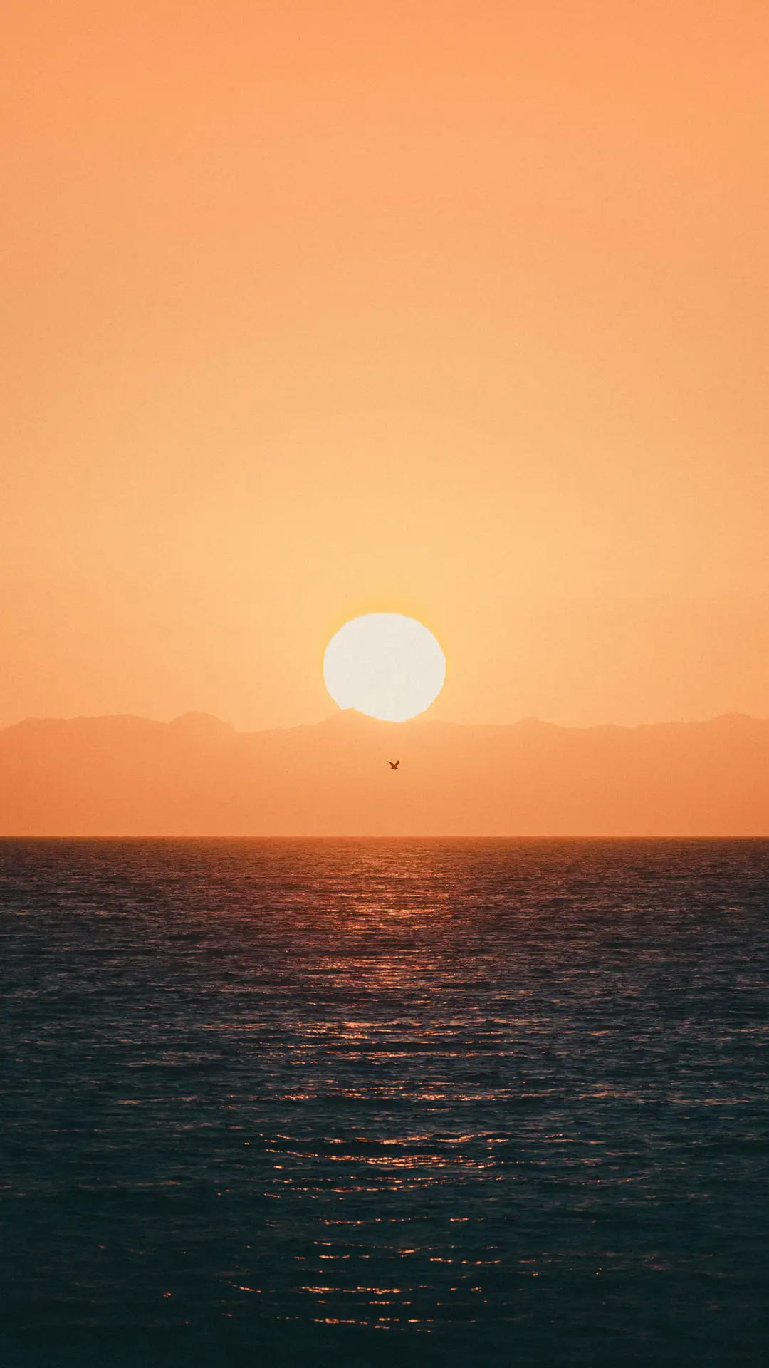 你不知道的「太阳冷知识」 - Screenshot 1