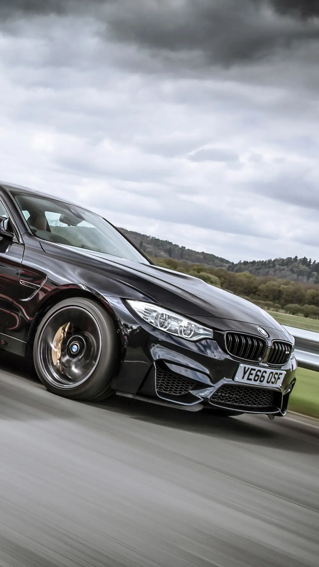 翘首以待的龙虎斗