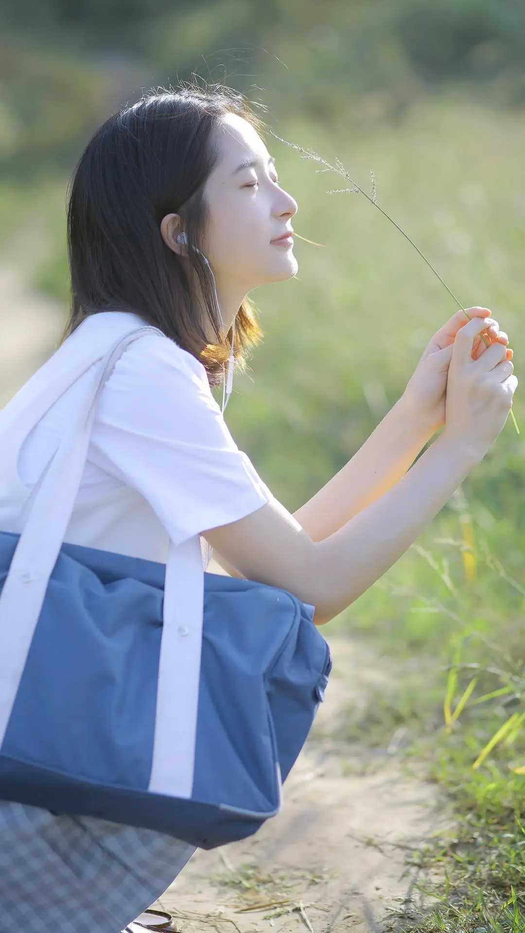 愿生活充满阳光